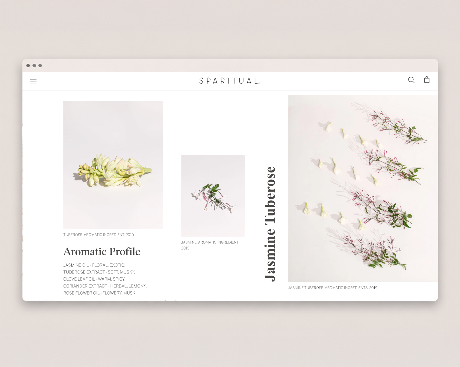 SPARITUAL work sample 7